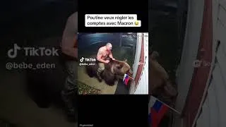 Miniature : imagine poutine qui débarque chez macron avec un ours 🤣 #humour #IA