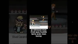 Miniature : POV luxray oblitère le rival