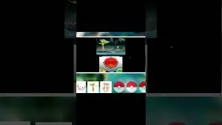 Miniature : se dresseur a 2 pokemon fabuleux