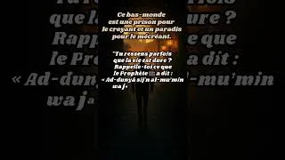 Miniature : Cette Dounia n’est qu’une prison pour le croyant 🕊️ | Hadith Profond #islam #prophetmuhammad  #foi