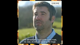Miniature : Bertrand, expert Labeyrie répond à vos questions (suite)