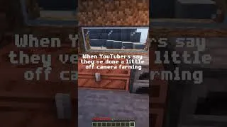Miniature : When Youtubers say they've done a little off camera farming... 😵‍💫 #minecraft #youtuber #memes