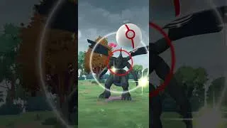 Miniature : Pokémon GO: Perfect Zekrom Encounter/Le rencontre de Zekrom Parfait (June/juin 2026)