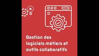 Miniature : Mention Complémentaire Services Numériques aux Organisations - Pour les entreprises