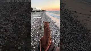Miniature : Red Dead Redemption 2 Vibes : Balade à cheval au coucher du soleil !