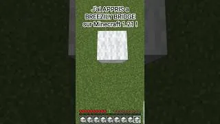 Miniature : J'ai (re)APPRIS a BREEZILY BRIDGE sur Minecraft 1.21 ! #minecraft #bedwars