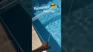 Miniature : Épuisette nouvelle génération #platypool #piscine #epuisette