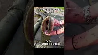 Miniature : A vos commentaire 📝