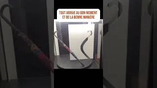 Miniature : Tout arrive au bon moment et de la bonne manière