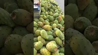 Miniature : LES FIGUES DE BARBARIE DU MAROC 🇲🇦