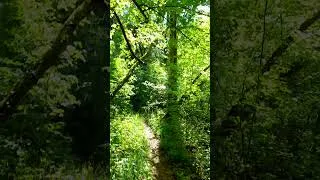 Miniature : #bon 1er mai# nature # lâcher prise .