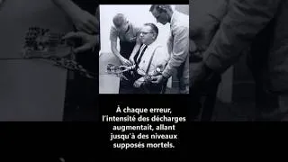 Miniature : Expérience de Milgram : Jusqu’où iriez-vous par obéissance ?