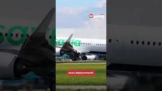 Miniature : Transavia brise les prix : La France-Algérie à partir de 48€ seulement !