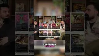 Miniature : Qui va gagner : Chiens ou Chats ?