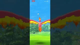 Miniature : Je donne un titre à mon short : sulfura shiny sur Pokémon Go