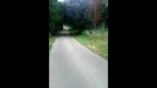 Miniature : gamelle au long board assez rigolote
