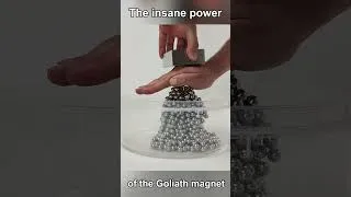 Miniature : Goliath VS Steel Balls