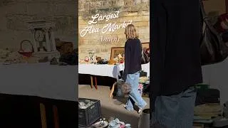Miniature : I Visited The Largest Flea Market in France! #brocante #antique  #fleamarket #granderederiedamiens