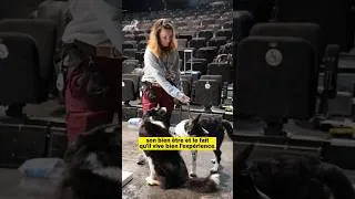 Miniature : Juliette Roux-Merveille : le métier de présence animalière dans 𝐴ℎ𝑜𝑢𝑣𝑖