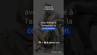 Miniature : AMOUR ET COMPASION