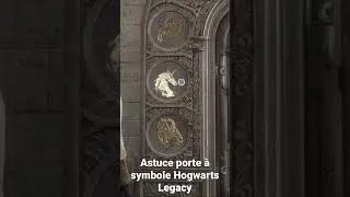Miniature : Astuces et  porte à symbole Hogwarts Legacy FR
