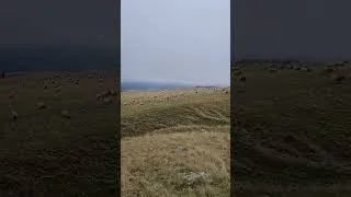 Miniature : 20211009 134909
