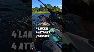 Miniature : Combien de POISSONS ?🤔