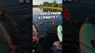 Miniature : J'attrape un brochet à l'épuisette ?🤔🤯