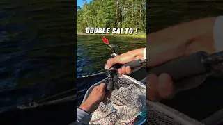 Miniature : Quelle performance de ce brochet !🐊🙌🏻