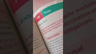 Miniature : vaccin antirabique et grossesse