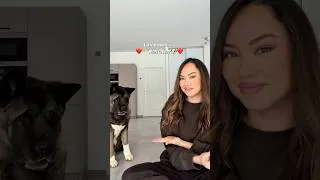 Miniature : Ma vie avec … lui ✨🐶 #chien #trend #dog #tiktok