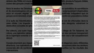 Miniature : Les FAMa ont mené des frappes ciblées sur plusieurs groupes terroristes dans différentes localités