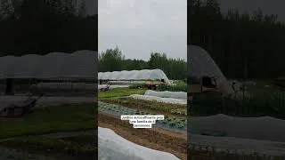 Miniature : Jardins autosuffisants #homesteading #jardinagequebec #gardening