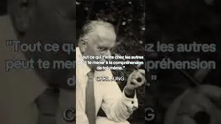 Miniature : Ce qui t'irrite révèle parfois une part de toi à comprendre. #CarlJung #Psycho #Réflexion #Soi #Vie