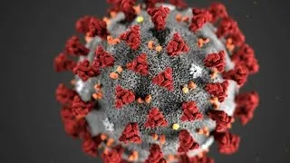 Miniature : ON A PLUS COURS MAIS LE CORONAVIRUS DEVIENT GRAVE !!