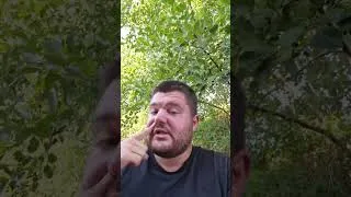 Miniature : la vidéo a un peu de retard