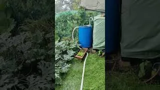 Miniature : Acqua Di Gioia V.2
