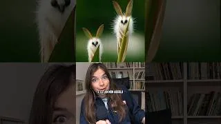 Miniature : C'est DÉGUEU