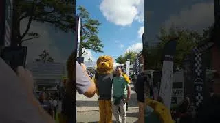 Miniature : 2e jour aux 24H Camions du Mans 2026 sur le stand MAN !