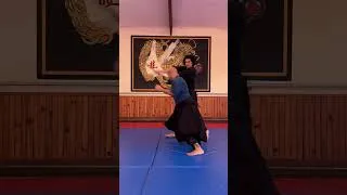 Miniature : Tachi dori Aïkido #martialarts #kungfu #kishinkai #budo #aikido