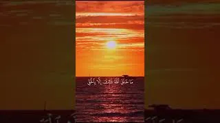 Miniature : سرّ الشمس والقمر: آية تبيّن دقة الخلق وحكمة الله #القرآن #القران