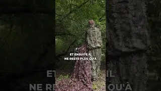 Miniature : Comment photographier facilement le martin-pêcheur 📸