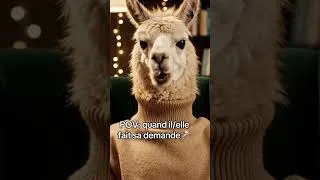 Miniature : POV : Ton crush fait sa demande… et toi t’es un lama 🦙💍