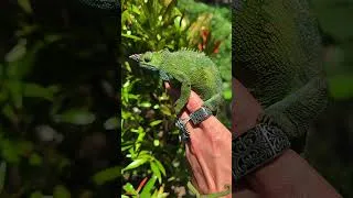 Miniature : Un dinosaure extraordinaire
