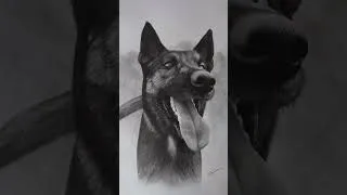 Miniature : Une formation sur le dessin d’animaux réaliste ça vous intéresserait ?