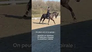 Miniature : #cheval #equestrianjourney #horse #conseils #equestrian #dressage #dressagehorse #horseriding
