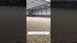 Miniature : #horse #dressagehorse #dream #nervergiveup #cheval #cavaliers  #story #piano #equestrian