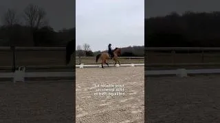 Miniature : Pensez à bien regarder votre visière pour rester droit ! #equitation #cheval #galop #conseils