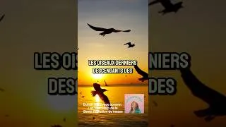 Miniature : Ils Ont Survécu Où les Dinosaures ont Péri !  #podcastfrance #voyagesonore #dinosaures #extinction