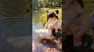 Miniature : Petit monde sous les arbres #adorable #cute
